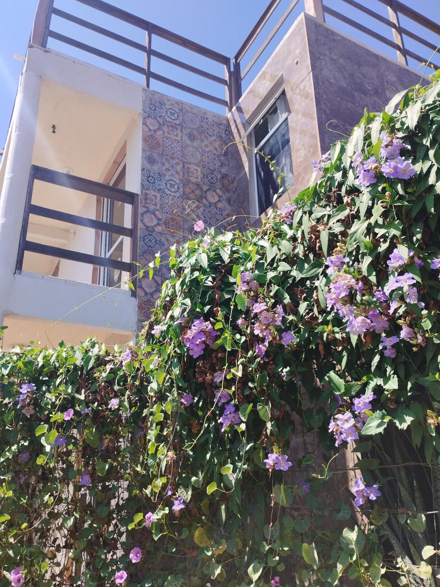 Seomarujo Rent A Room Morro Branco Beberibe Eksteriør bilde